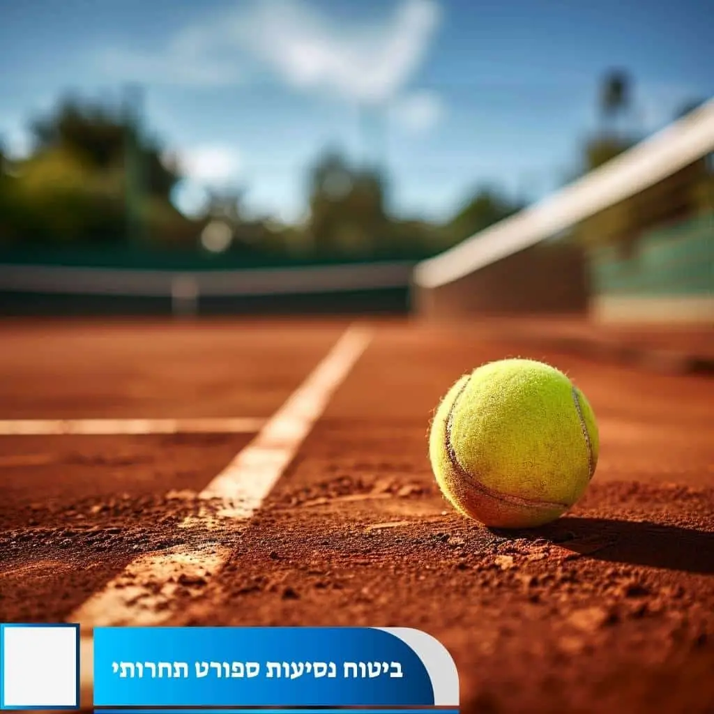 ספורטאים בתחרות ריצה מקצועית